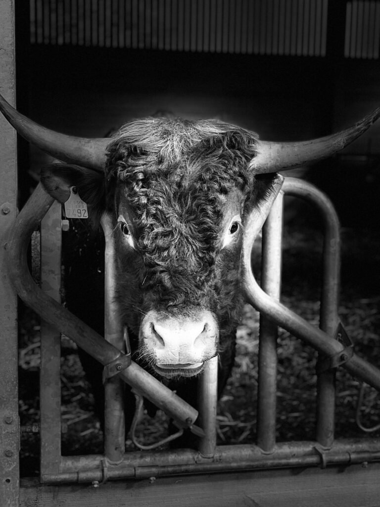 ab2c41ac-b30b-4d59-8038-9c0b22eeac4d