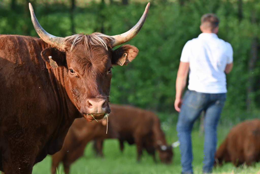 Boucherie de la Ferme Simon