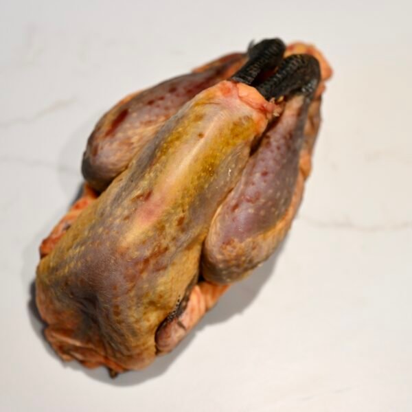 Pintade fermière (+/- 1,6kg)